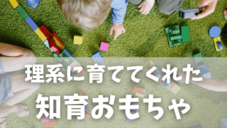 ゴリゴリの理系に育った！3歳〜小学生まで本当に使えたわが家の知育玩具たち