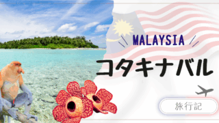 子連れマレーシア国内旅行|コタキナバル|テングザルとラフレシアを観察するジャングル探検