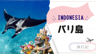 子連れバリ旅行|インドネシアの海でマンタと泳ぐ最高の体験